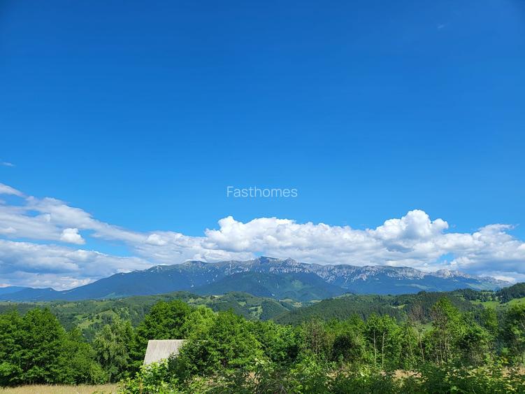 Teren 3 ha Moieciu de Jos | Drumul Carului I Panoramă | Utilitati - 3