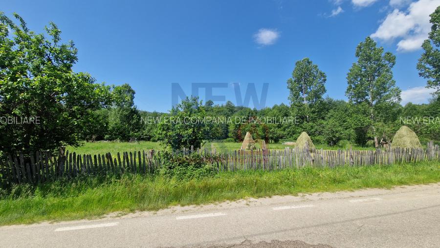 Teren de vanzare in judetul Arges, localitatea Arefu  - 2