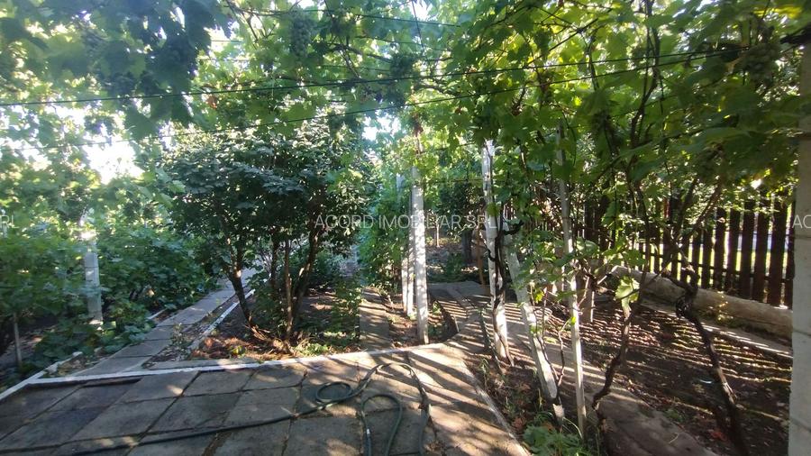 Casă, gradină, teren mare - Palazu Mare - 3