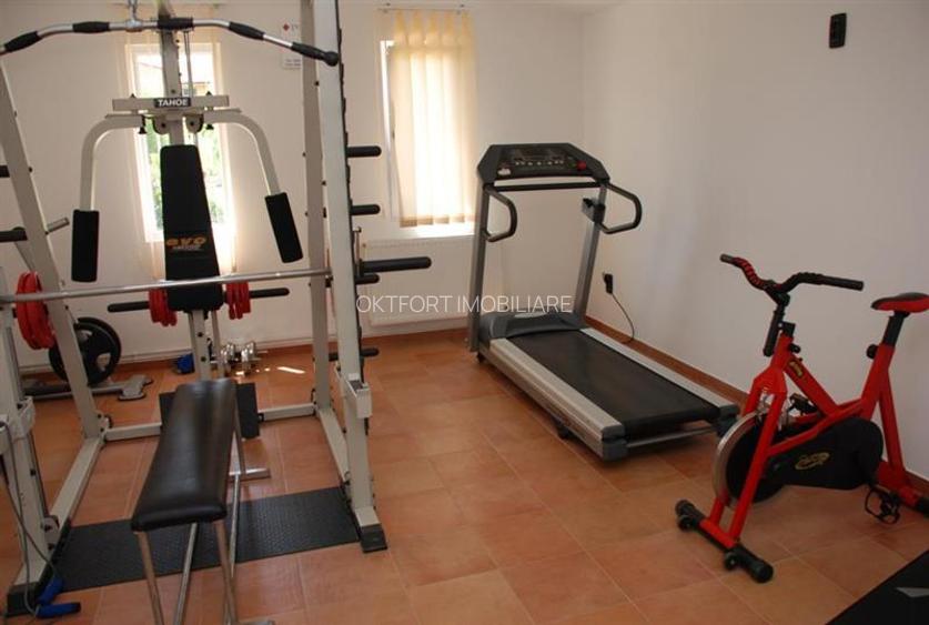 Apartament 3 camere, curte privata cu piscina in Dumbravita - 17