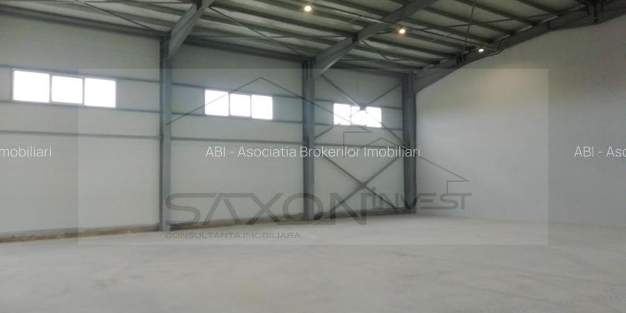 Hala depozitare sau productie   Drumul intre Tarlale,  600MP - 12