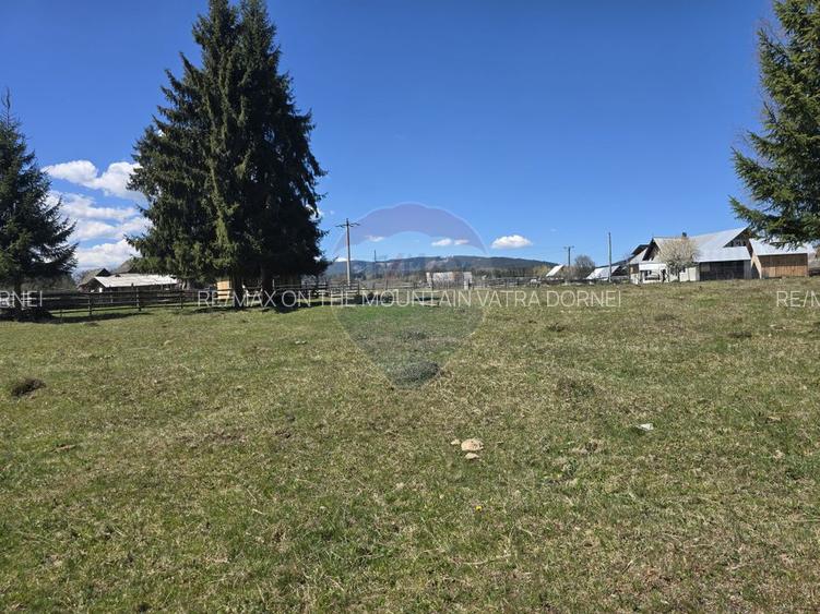Teren 18,580mp Saru Dornei / DJ sat Neagra Sarului - 8