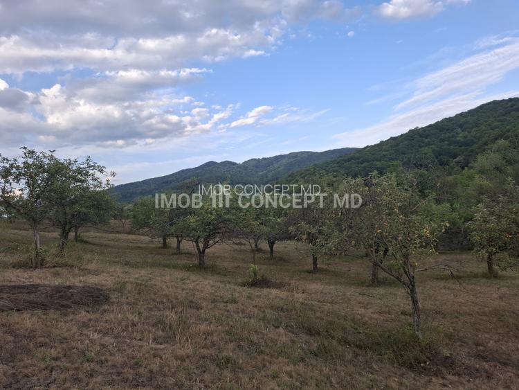 Teren spectaculos cu padure, livada si priveliste panoramica in Soimari PH - 16