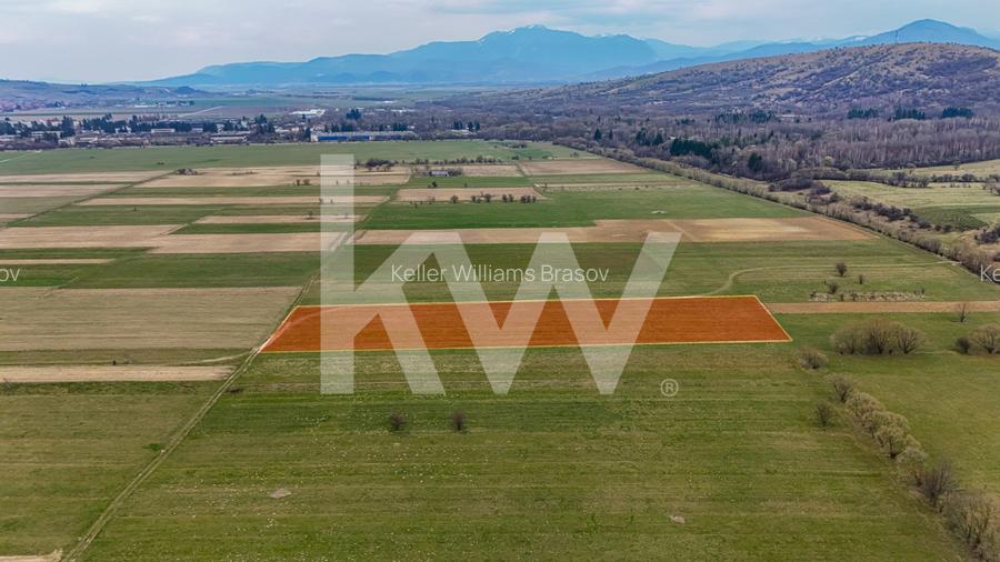 Oportunitate de investitie în Zarnesti I Teren intravilan 8557 mp - 10