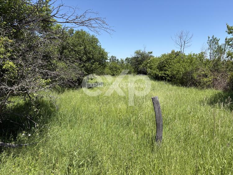 Teren 2.200 mp lângă pădure, la 11 km de Pitești – ideal pentru casă și relaxare - 2