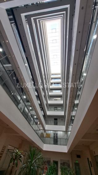 SPATIU BIROU- CLADIRE BIROURI PREMIUM - 17