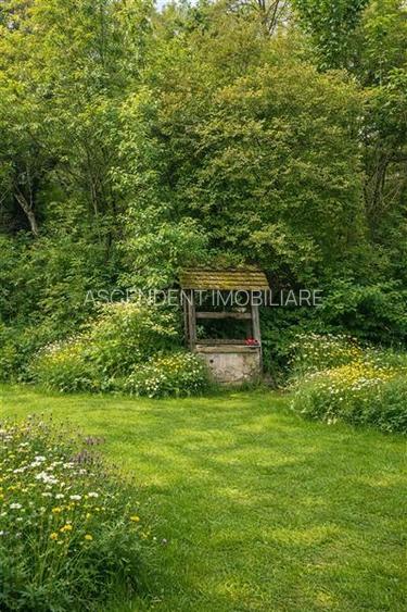 Domeniu verde autentic,  +5.000mp, front la DJ, Valcele, Brasov -- Covasna - 4