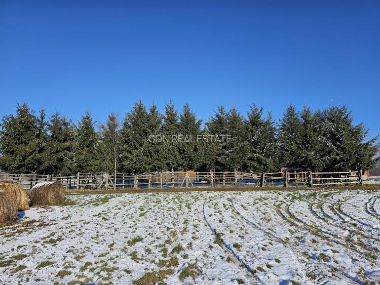 Casă de vacanță cu 6 camere + teren suprafață 7.384 mp, Brădet, Bihor - 2