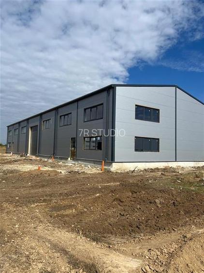 Vanzare Hala Noua Dascalu, plus teren - 9