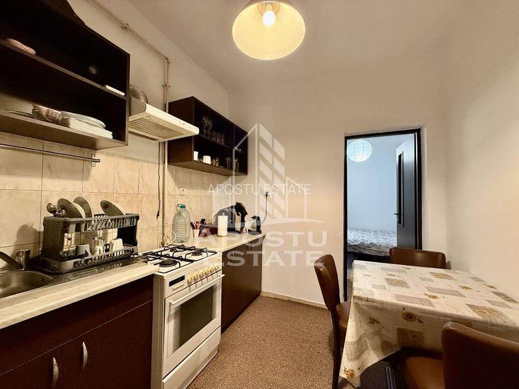 Apartament la casa, 2 camere, 120mp teren, zona Centrala Timisoara - 7