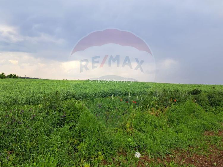 Teren Ciolpani 15.000 mp oportunitate posibilitate lotizare 5000 mp - 4