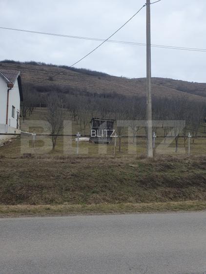 Casa individuala, 160 mo, comuna Suatu - 6