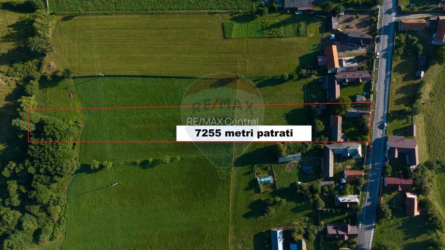 Teren intravilan 7.255 mp +casă rustică – ideal pensiune în Vama Buzău - 16