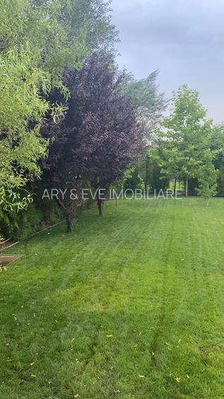 Vanzare casa Paradisul Verde Corbeanca - 6