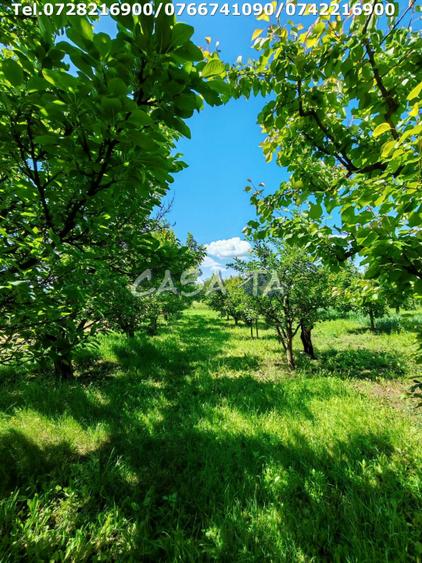 Casa situata in Samarinesti, sat Valea Bisericii