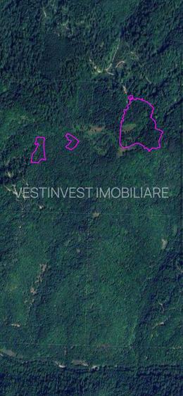 Terenuri extravilan zona Pietroasa spre Boga - 4