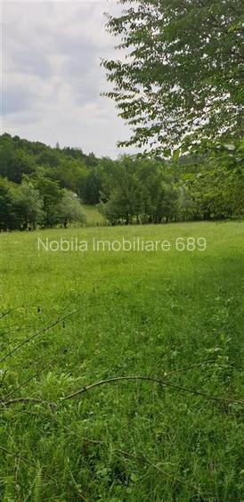 TEREN DE VANZARE 500O MP PUNCT CHETRIS CERDAC SLANIC MOLDOVA - 3