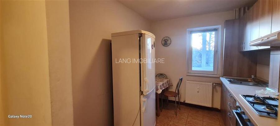 APARTAMENT 2 CAMERE ROMANILOR 66 MP - 12