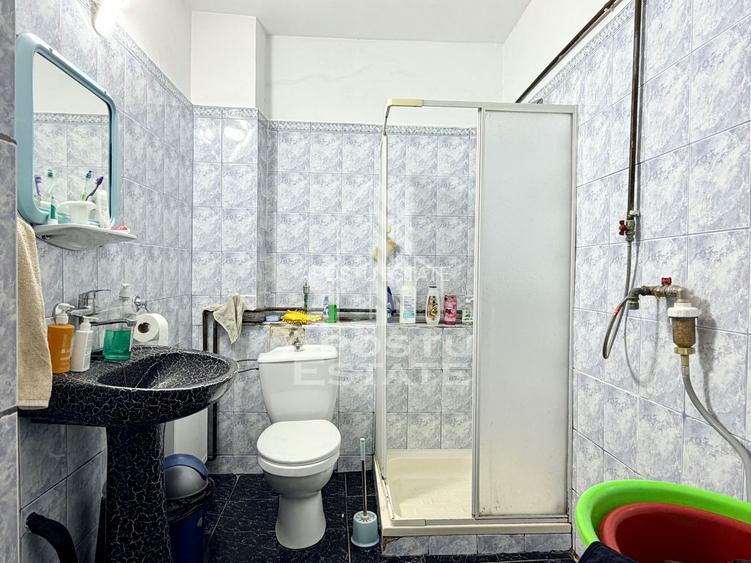 Casa renovata de vanzare pe parter Beregsau Mare - 9