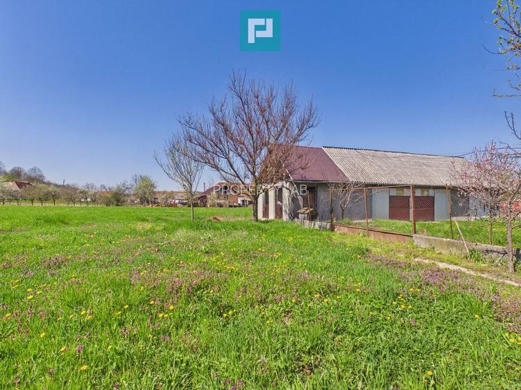 Casă solidă cu 5 camere in localitatea Almaș, Arad - 24