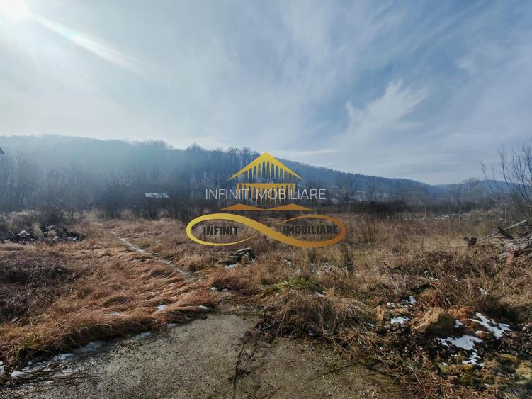 Casa de vanzare in Luncani - 9