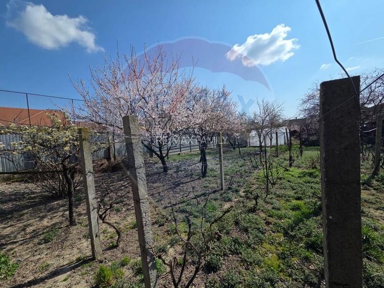 Casă deosebita ultracentral Salonta - 19