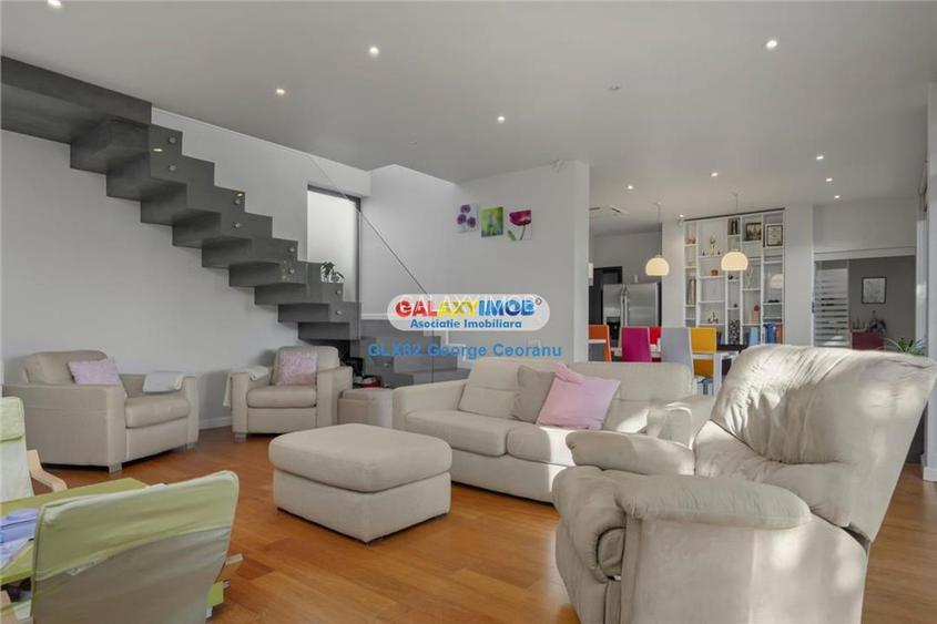 Vanzare vila individuala, curte mare, piscina, Berceni Macului - 5