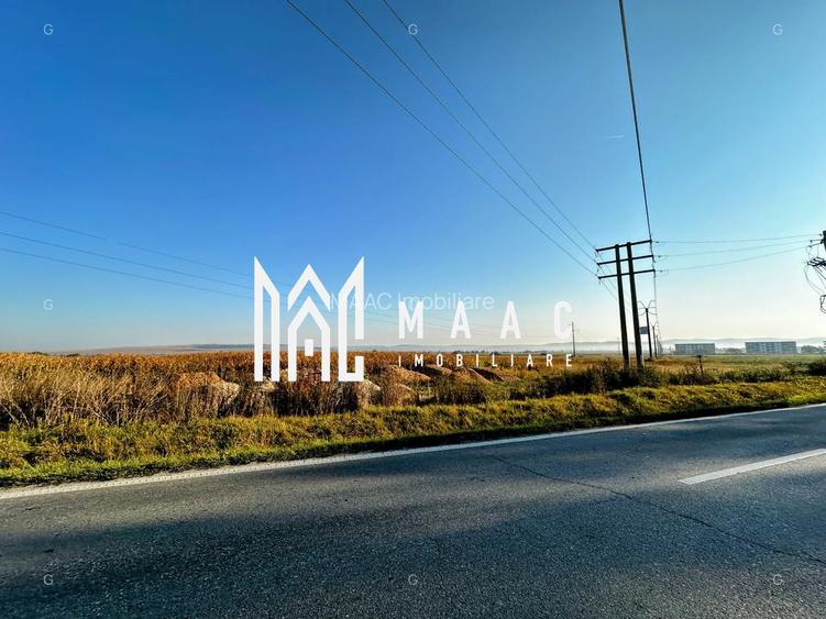 Teren 10.000 mp I Dezvoltare rezidențială I Calea Șurii Mici - 2