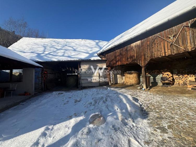 Casa de vacanta, sat Fantanele, Sibiu - 9