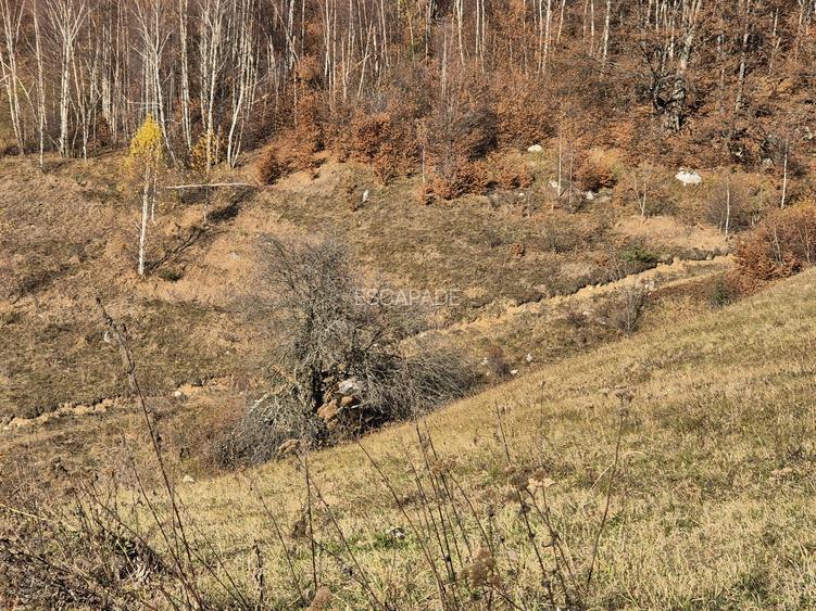 Teren de vânzare în sat Măgura/ Brasov– loc pentru familie, liniște și suflet - 17