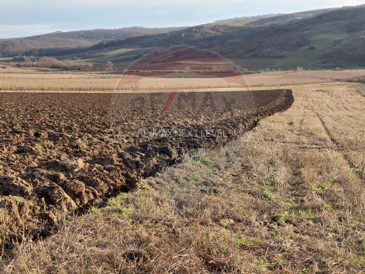 Teren 7,200mp Secuieni / DN Principala - 2