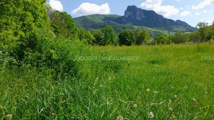 Teren intravilan, in Rimetea, suprafete intre 1000 - 10000 mp - 3