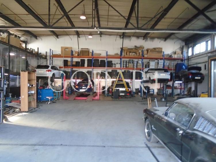Proprietate Industrială de Vânzare | Poziție Premium - 8