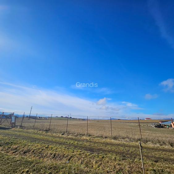 Teren intravilan - Halchiu, construire locuinte individuale - 3