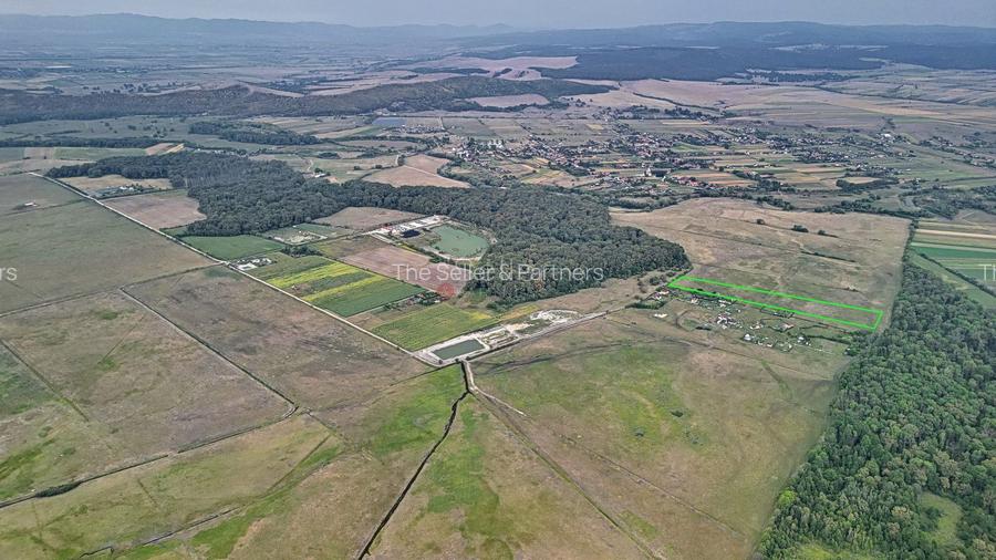 Teren Extravilan - 6