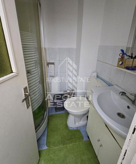 Garsoniera Micalaca Orizont - 7