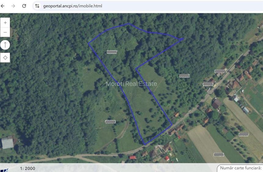 14075 mp teren cu acces la utilitati - Criscior - 4