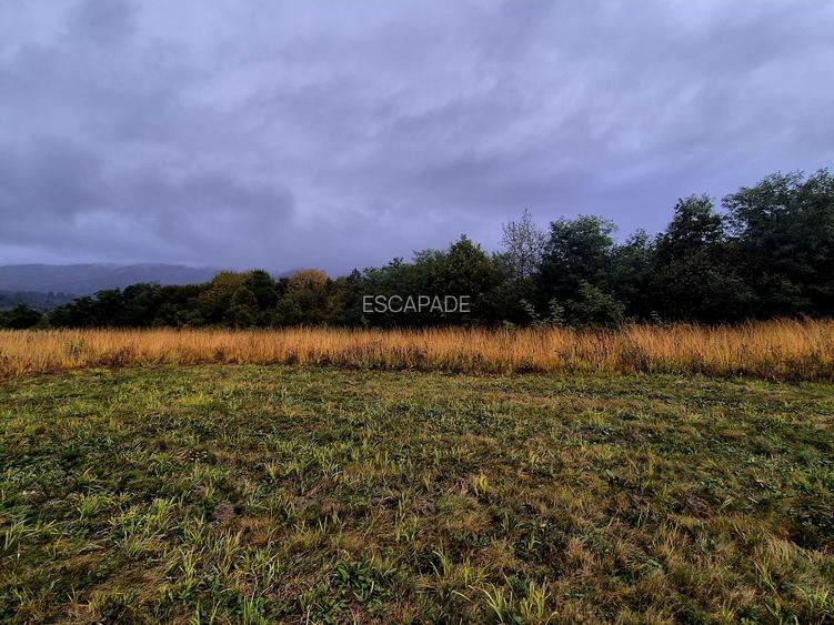 Comision 0%, teren extravilan 12497 mp Sinca Noua - 9