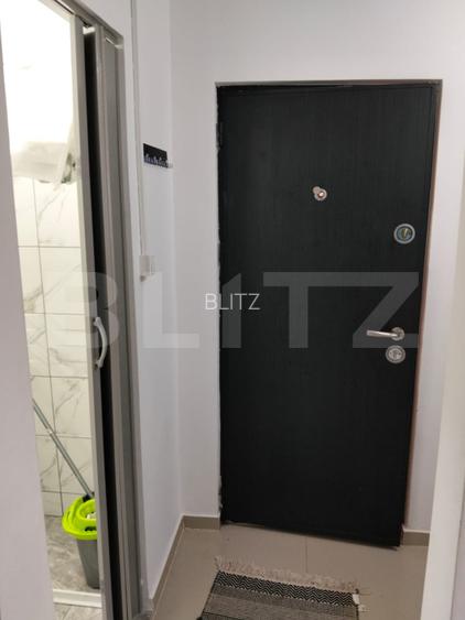 Garsinieră 22pm, Bucium - 6