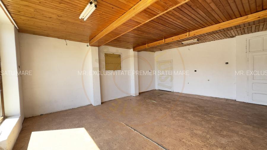 Spatiu de Inchiriat 184 mp, curte 280 mp, B-dul 25 Oct - Carei - 7