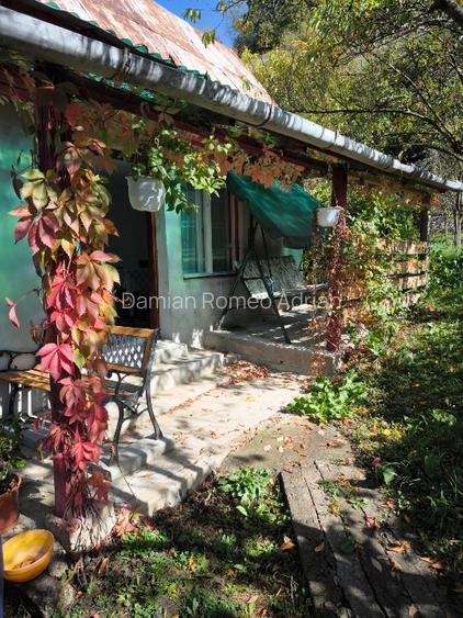 Gradina de vanzare cu constructii pe teren. - 7