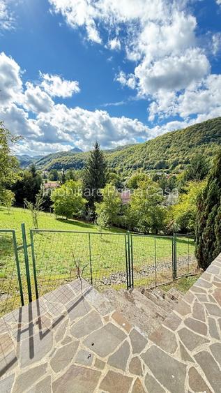 FIRIZA - VILA+ casa batraneasca si 29ari teren, panorama superba! - 28