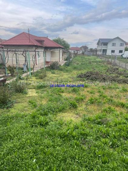 Valu lui Traian, teren la sosea, 292 mp - 4