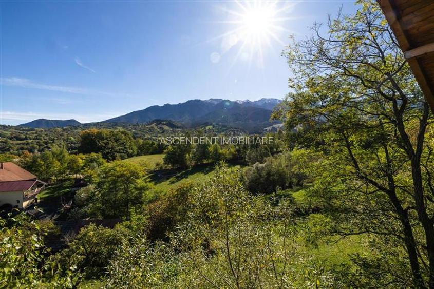 FILM! Proprietate notabila,ocazie personalizare, aprecat areal: Bran, Brasov - 24