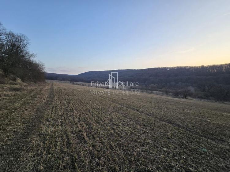 Teren extravilan 28.800 Mp , zona Rora, Sighisoara - 3