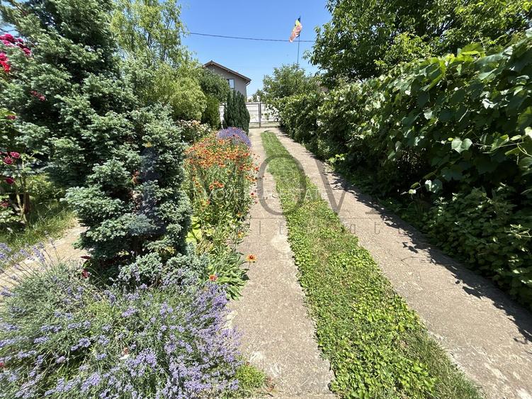 BELCIUGATELE- Casă de vacanță sau locuință permanentă - 31