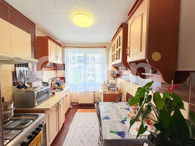 Apartament de vanzare | Baia Sprie | 46 mp - 4