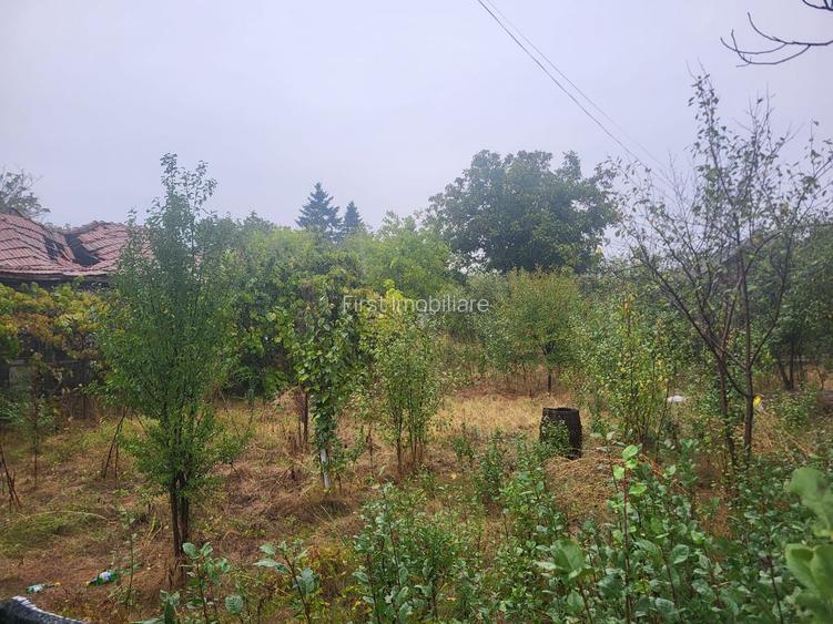 Teren 1055 mp,situat la 5 minute de Parc Comana,intre case - 5