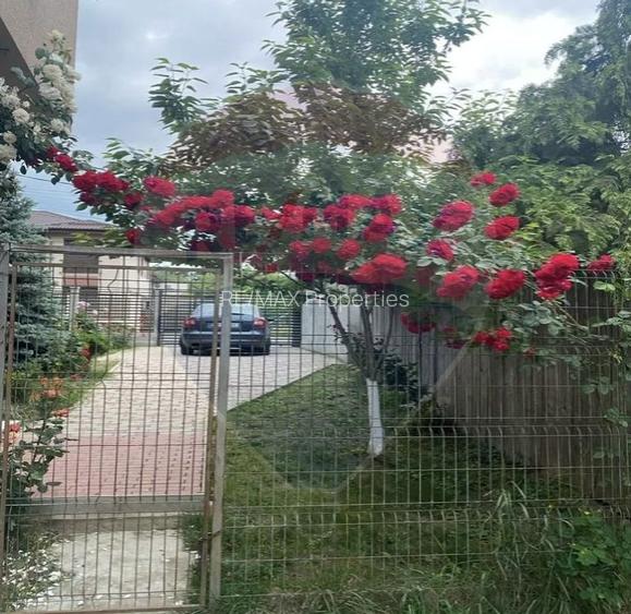 Casă / Vilă de vanzare la intrare in Mogosoaia, padure, teren 1097mp - 27