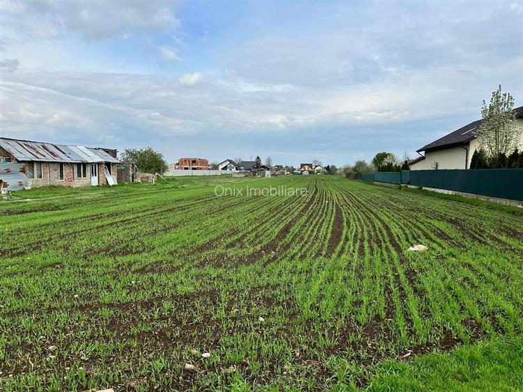 TEREN INTRAVILAN STREJNICU - 5